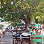 ΜΕΖΕΔΟΠΩΛΕΙΟ-ΛΙΜΕΝΑΣ-ΘΑΣΟΥ-ΦΤΑΠΟΔΙ