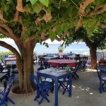 ΨΑΡΟΤΑΒΕΡΝΑ-ΑΡΧΑΓΓΕΛΟΣ-ΡΟΔΟΣ-ΠΕΡΙΓΙΑΛΙ