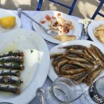 ΨΑΡΟΤΑΒΕΡΝΑ-ΑΡΧΑΓΓΕΛΟΣ-ΡΟΔΟΣ-ΠΕΡΙΓΙΑΛΙ