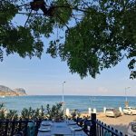 ΨΑΡΟΤΑΒΕΡΝΑ-ΑΡΧΑΓΓΕΛΟΣ-ΡΟΔΟΣ-ΠΕΡΙΓΙΑΛΙ