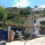 ΨΑΡΟΤΑΒΕΡΝΑ-ΑΡΧΑΓΓΕΛΟΣ-ΡΟΔΟΣ-ΠΕΡΙΓΙΑΛΙ