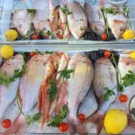 ΨΑΡΟΤΑΒΕΡΝΑ-ΚΩΣ-AGKYRA-FISH-RESTAURANT