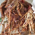 ΨΑΡΟΤΑΒΕΡΝΑ-ΚΩΣ-AGKYRA-FISH-RESTAURANT