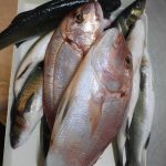 ΨΑΡΟΤΑΒΕΡΝΑ-ΚΩΣ-AGKYRA-FISH-RESTAURANT