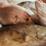 ΨΑΡΟΤΑΒΕΡΝΑ-ΚΩΣ-AGKYRA-FISH-RESTAURANT