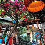 ΨΑΡΟΤΑΒΕΡΝΑ-ΚΩΣ-FISH-HOUSE-ΣΑΚΕΛΛΑΡΗΣ