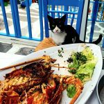 ΨΑΡΟΤΑΒΕΡΝΑ-ΚΩΣ-FISH-HOUSE-ΣΑΚΕΛΛΑΡΗΣ