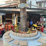 ΨΗΤΟΠΩΛΕΙΟ-ΡΟΔΟΣ-ΜΠΑΧΑΡ-ΣΟΥΒΛΑΚΕΡΙ