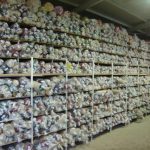 ΣΤΕΓΝΟΚΑΘΑΡΙΣΤΗΡΙΟ-ΣΚΥΔΡΑ-ΕΝ-ΛΕΥΚΩ-ΝΑΤΣΑΡΙΔΗΣ