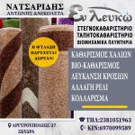 ΣΤΕΓΝΟΚΑΘΑΡΙΣΤΗΡΙΟ-ΣΚΥΔΡΑ-ΕΝ-ΛΕΥΚΩ-ΝΑΤΣΑΡΙΔΗΣ