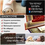 ΣΤΕΓΝΟΚΑΘΑΡΙΣΤΗΡΙΟ-ΣΚΥΔΡΑ-ΕΝ-ΛΕΥΚΩ-ΝΑΤΣΑΡΙΔΗΣ