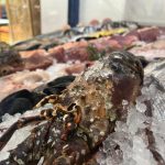 ΕΣΤΙΑΤΟΡΙΟ-ΘΑΛΑΣΣΙΝΩΝ-ΚΩΣ-OPA