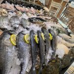 ΕΣΤΙΑΤΟΡΙΟ-ΘΑΛΑΣΣΙΝΩΝ-ΚΩΣ-OPA