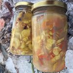 ΕΣΤΙΑΤΟΡΙΟ-ΘΑΛΑΣΣΙΝΩΝ-ΚΩΣ-OPA