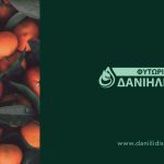 ΦΥΤΩΡΙΟ-ΜΟΝΟΣΠΙΤΑ-ΗΜΑΘΙΑΣ-ΦΥΤΩΡΙΑ-ΔΑΝΙΗΛΙΔΗΣ