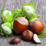 ΦΥΤΩΡΙΟ-ΜΟΝΟΣΠΙΤΑ-ΗΜΑΘΙΑΣ-ΦΥΤΩΡΙΑ-ΔΑΝΙΗΛΙΔΗΣ