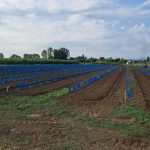 ΦΥΤΩΡΙΟ-ΜΟΝΟΣΠΙΤΑ-ΗΜΑΘΙΑΣ-ΦΥΤΩΡΙΑ-ΔΑΝΙΗΛΙΔΗΣ