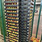 ΧΟΝΔΡΙΚΟ-ΕΜΠΟΡΙΟ-ΦΡΟΥΤΩΝ-SKYDRA-FROUTOMANIA