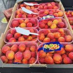 ΧΟΝΔΡΙΚΟ-ΕΜΠΟΡΙΟ-ΦΡΟΥΤΩΝ-SKYDRA-FROUTOMANIA