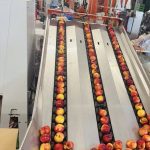 ΧΟΝΔΡΙΚΟ-ΕΜΠΟΡΙΟ-ΦΡΟΥΤΩΝ-SKYDRA-FROUTOMANIA