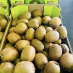 ΧΟΝΔΡΙΚΟ-ΕΜΠΟΡΙΟ-ΦΡΟΥΤΩΝ-SKYDRA-FROUTOMANIA