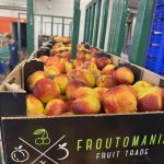 ΧΟΝΔΡΙΚΟ-ΕΜΠΟΡΙΟ-ΦΡΟΥΤΩΝ-SKYDRA-FROUTOMANIA