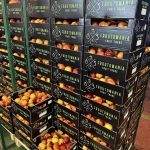 ΧΟΝΔΡΙΚΟ-ΕΜΠΟΡΙΟ-ΦΡΟΥΤΩΝ-SKYDRA-FROUTOMANIA