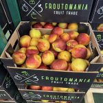 ΧΟΝΔΡΙΚΟ-ΕΜΠΟΡΙΟ-ΦΡΟΥΤΩΝ-SKYDRA-FROUTOMANIA