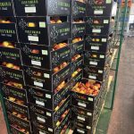 ΧΟΝΔΡΙΚΟ-ΕΜΠΟΡΙΟ-ΦΡΟΥΤΩΝ-SKYDRA-FROUTOMANIA