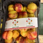 ΧΟΝΔΡΙΚΟ-ΕΜΠΟΡΙΟ-ΦΡΟΥΤΩΝ-SKYDRA-FROUTOMANIA