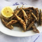 ΨΑΡΟΤΑΒΕΡΝΑ-ΜΑΣΤΙΧΑΡΙ-ΚΩΣ-ΚΑΛΗ-ΚΑΡΔΙΑ