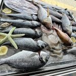 ΨΑΡΟΤΑΒΕΡΝΑ-ΜΑΣΤΙΧΑΡΙ-ΚΩΣ-ΚΑΛΗ-ΚΑΡΔΙΑ