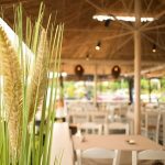 ΨΑΡΟΤΑΒΕΡΝΑ-ΣΤΟΜΙΟ-ΛΑΡΙΣΑΣ-ΑΚΡΟΓΙΑΛΙ-ΦΩΤΙΟΥ