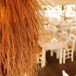 ΨΑΡΟΤΑΒΕΡΝΑ-ΣΤΟΜΙΟ-ΛΑΡΙΣΑΣ-ΑΚΡΟΓΙΑΛΙ-ΦΩΤΙΟΥ