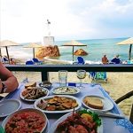 ΨΑΡΟΤΑΒΕΡΝΑ-ΣΤΟΜΙΟ-ΛΑΡΙΣΑΣ-ΑΚΡΟΓΙΑΛΙ-ΦΩΤΙΟΥ