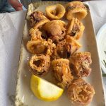 ΨΑΡΟΤΑΒΕΡΝΑ-ΣΤΟΜΙΟ-ΛΑΡΙΣΑΣ-ΑΚΡΟΓΙΑΛΙ-ΦΩΤΙΟΥ