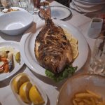 ΨΑΡΟΤΑΒΕΡΝΑ-ΣΤΟΜΙΟ-ΛΑΡΙΣΑΣ-ΑΚΡΟΓΙΑΛΙ-ΦΩΤΙΟΥ