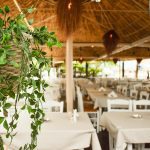 ΨΑΡΟΤΑΒΕΡΝΑ-ΣΤΟΜΙΟ-ΛΑΡΙΣΑΣ-ΑΚΡΟΓΙΑΛΙ-ΦΩΤΙΟΥ