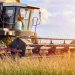 ΣΥΝΕΡΓΕΙΟ-ΑΥΤΟΚΙΝΗΤΩΝ-ΚΩΣΤΑΚΙΟΙ-ΑΡΤΑΣ-ΒΑΣΙΛΕΙΟΥ