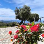 ΤΑΒΕΡΝΑ-ΝΕΟΣ-ΜΑΡΜΑΡΑΣ-PAULS-TAVERN-PARTHENON