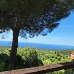 ΤΑΒΕΡΝΑ-ΝΕΟΣ-ΜΑΡΜΑΡΑΣ-PAULS-TAVERN-PARTHENON