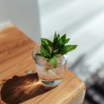 ΚΟΚΤΕΪΛ-ΜΠΑΡ-ΑΓΙΟΣ-ΝΙΚΟΛΑΟΣ-BAJAMAR-COCKTAIL-BAR