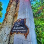 ΡΑΚΑΔΙΚΟ-ΜΕΖΕΔΟΠΩΛΕΙΟ-ΡΟΔΟΣ-ΔΡΟΣΟΥΛΙΤΕΣ