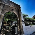 ΡΑΚΑΔΙΚΟ-ΜΕΖΕΔΟΠΩΛΕΙΟ-ΡΟΔΟΣ-ΔΡΟΣΟΥΛΙΤΕΣ