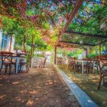 ΡΑΚΑΔΙΚΟ-ΜΕΖΕΔΟΠΩΛΕΙΟ-ΡΟΔΟΣ-ΔΡΟΣΟΥΛΙΤΕΣ