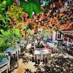 ΡΑΚΑΔΙΚΟ-ΜΕΖΕΔΟΠΩΛΕΙΟ-ΡΟΔΟΣ-ΔΡΟΣΟΥΛΙΤΕΣ