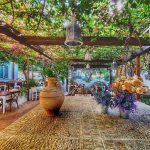 ΡΑΚΑΔΙΚΟ-ΜΕΖΕΔΟΠΩΛΕΙΟ-ΡΟΔΟΣ-ΔΡΟΣΟΥΛΙΤΕΣ