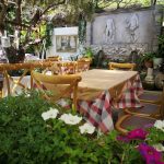 ΡΑΚΑΔΙΚΟ-ΜΕΖΕΔΟΠΩΛΕΙΟ-ΡΟΔΟΣ-ΔΡΟΣΟΥΛΙΤΕΣ