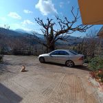 ΤΑΞΙ-ΒΥΤΙΝΑ-ΑΝΑΣΤΟΠΟΥΛΟΣ-ΔΗΜΗΤΡΗΣ