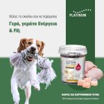 ΕΜΠΟΡΙΟ-ΖΩΟΤΡΟΦΩΝ-ΧΑΛΚΙΔΑ-ΜΟΥΣΤΑΚΛΗΣ